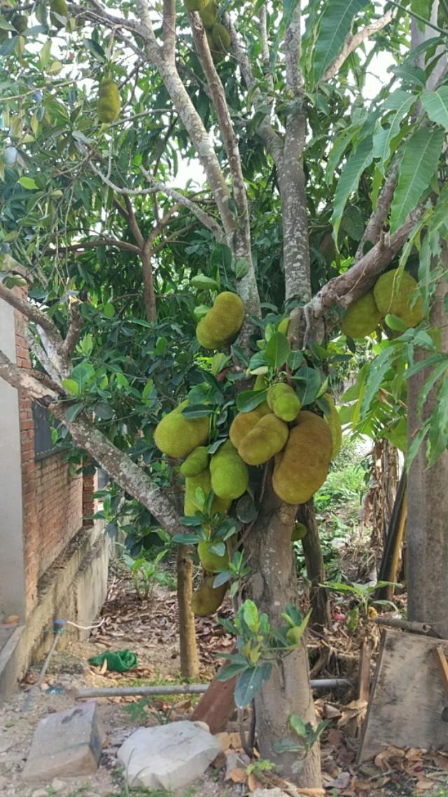 真实的云南缅甸边境是什么样的?-第22张图片-翡翠网 真实的云南缅甸边境是什么样的?-第22张图片-翡翠网