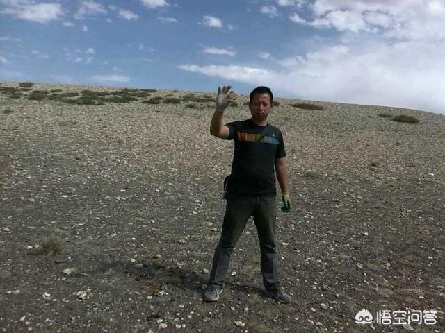 什么样的翡翠是收藏级翡翠?-第3张图片-翡翠网 什么样的翡翠是收藏级翡翠?-第3张图片-翡翠网