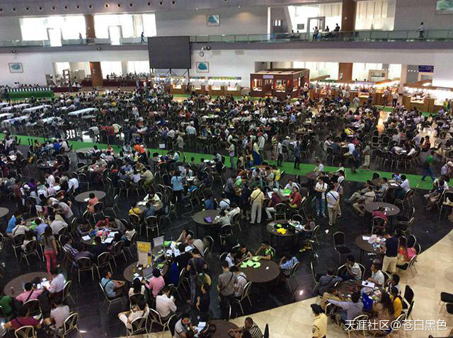 疯了疯了,33克的翡翠原石价值一辆玛莎拉蒂!!!-第11张图片-翡翠网 疯了疯了,33克的翡翠原石价值一辆玛莎拉蒂!!!-第11张图片-翡翠网