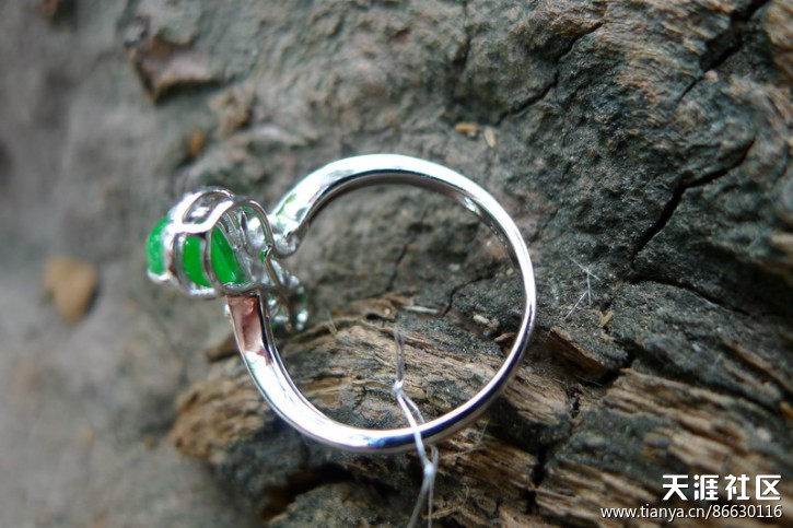 镶嵌精品：飘阳绿平安扣，阳绿戒指及吊坠，叶子，佛公-第35张图片-翡翠网