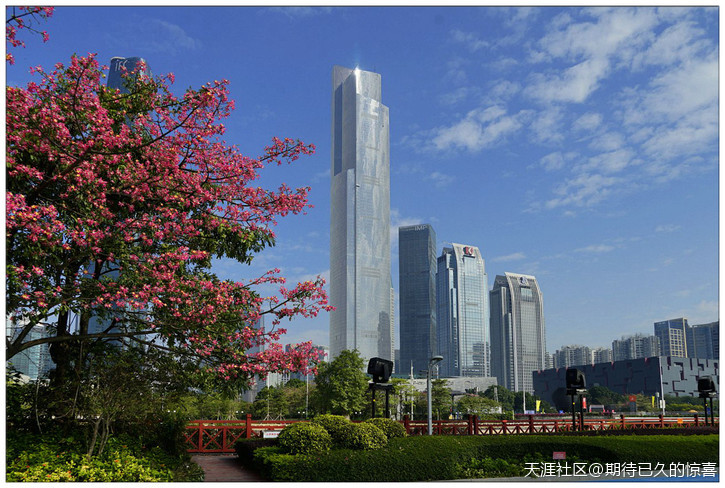 ※【期待已久】广州那一片让人心醉的俏色-第12张图片-翡翠网 ※【期待已久】广州那一片让人心醉的俏色-第12张图片-翡翠网