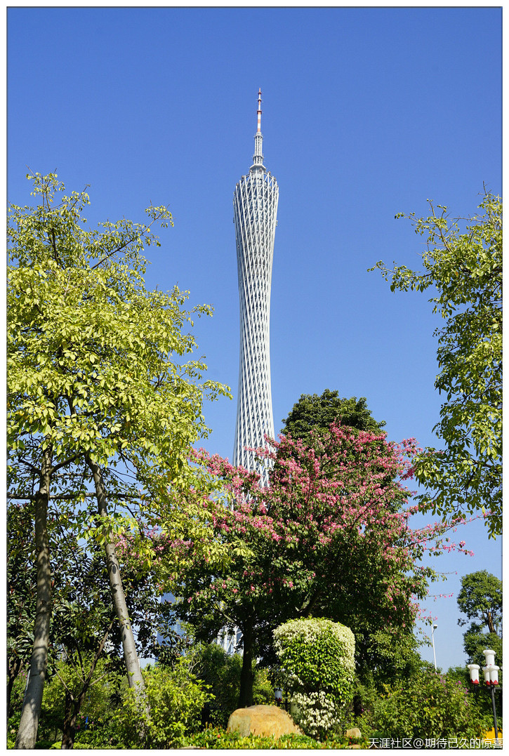 ※【期待已久】广州那一片让人心醉的俏色-第17张图片-翡翠网 ※【期待已久】广州那一片让人心醉的俏色-第17张图片-翡翠网
