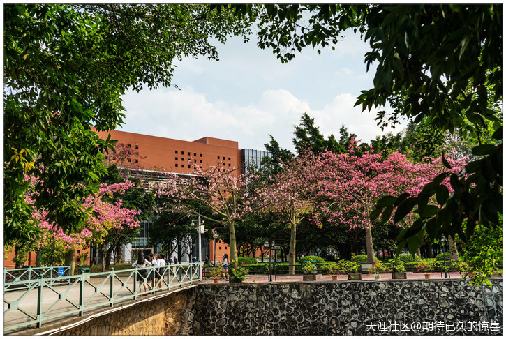 ※【期待已久】广州那一片让人心醉的俏色-第27张图片-翡翠网 ※【期待已久】广州那一片让人心醉的俏色-第27张图片-翡翠网