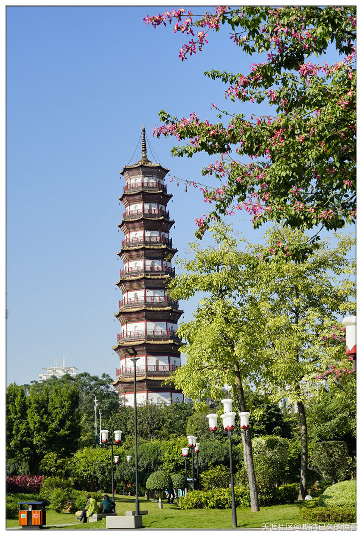 ※【期待已久】广州那一片让人心醉的俏色-第18张图片-翡翠网 ※【期待已久】广州那一片让人心醉的俏色-第18张图片-翡翠网