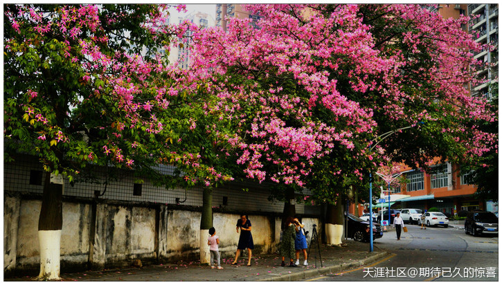 ※【期待已久】广州那一片让人心醉的俏色-第22张图片-翡翠网 ※【期待已久】广州那一片让人心醉的俏色-第22张图片-翡翠网