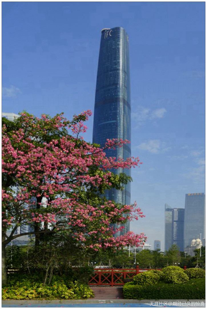 ※【期待已久】广州那一片让人心醉的俏色-第13张图片-翡翠网 ※【期待已久】广州那一片让人心醉的俏色-第13张图片-翡翠网