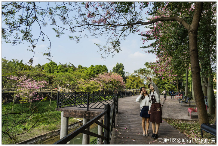 ※【期待已久】广州那一片让人心醉的俏色-第28张图片-翡翠网 ※【期待已久】广州那一片让人心醉的俏色-第28张图片-翡翠网