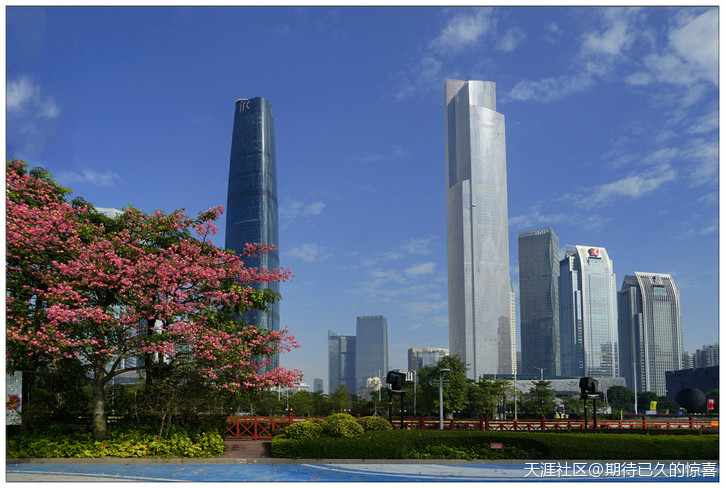 ※【期待已久】广州那一片让人心醉的俏色-第11张图片-翡翠网 ※【期待已久】广州那一片让人心醉的俏色-第11张图片-翡翠网