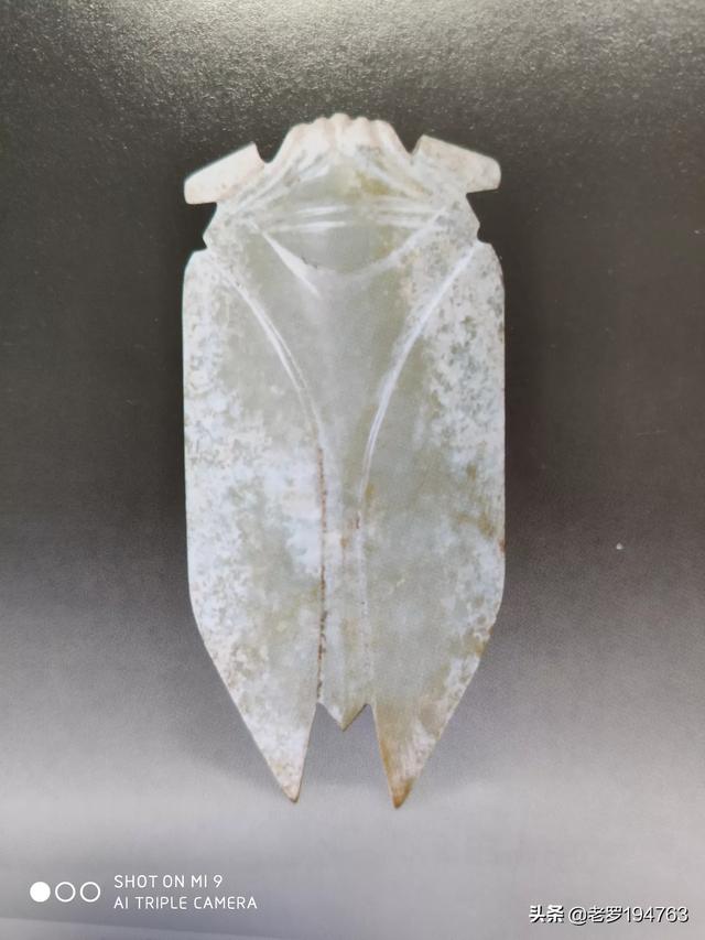 汉代玉器圆雕数量少，表现了汉代玉器造型艺术高度水平，具有极高收藏价值，您赞同吗？-第1张图片-翡翠网