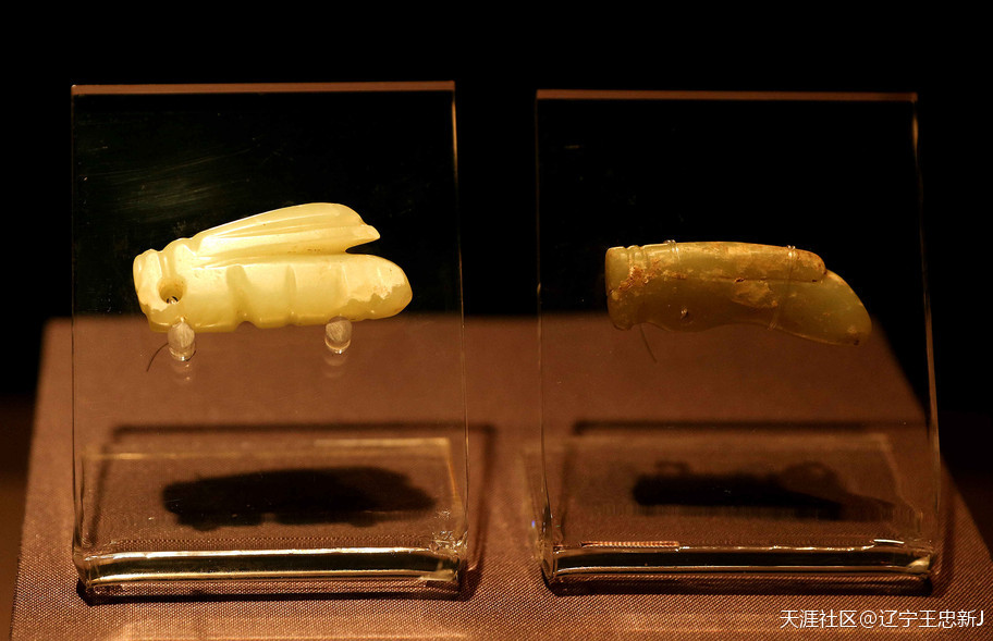 红山文化与“玉雕艺术源头”--来自“红山文化”的报告之二-第4张图片-翡翠网 红山文化与“玉雕艺术源头”--来自“红山文化”的报告之二-第4张图片-翡翠网