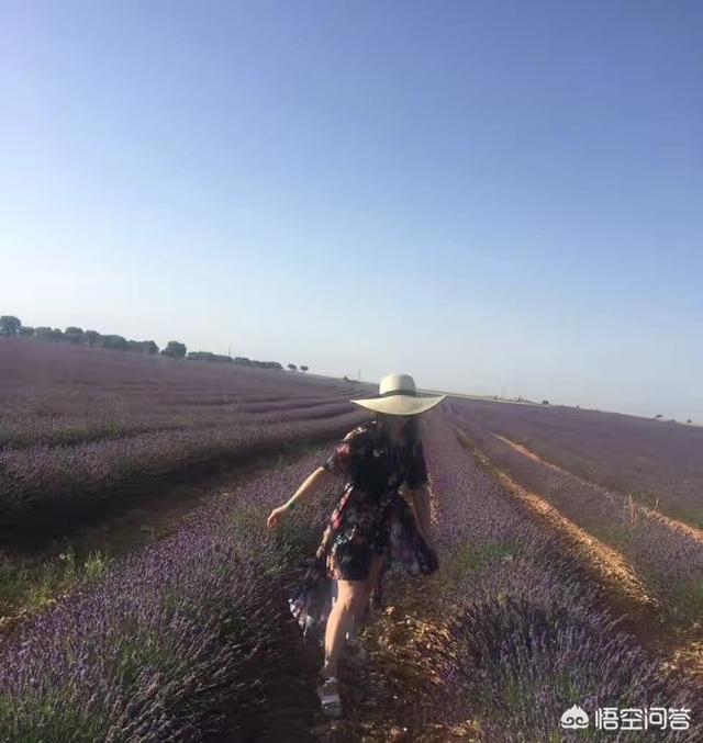 紫罗兰翡翠手镯好不好,有什么寓意呢?-第3张图片-翡翠网 紫罗兰翡翠手镯好不好,有什么寓意呢?-第3张图片-翡翠网