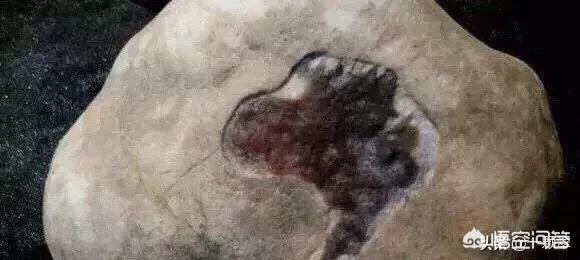 翡翠赌石你分得清几个场口?-第7张图片-翡翠网 翡翠赌石你分得清几个场口?-第7张图片-翡翠网