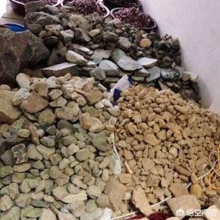 市场上几十几百元翡翠是真的吗？-第5张图片-翡翠网