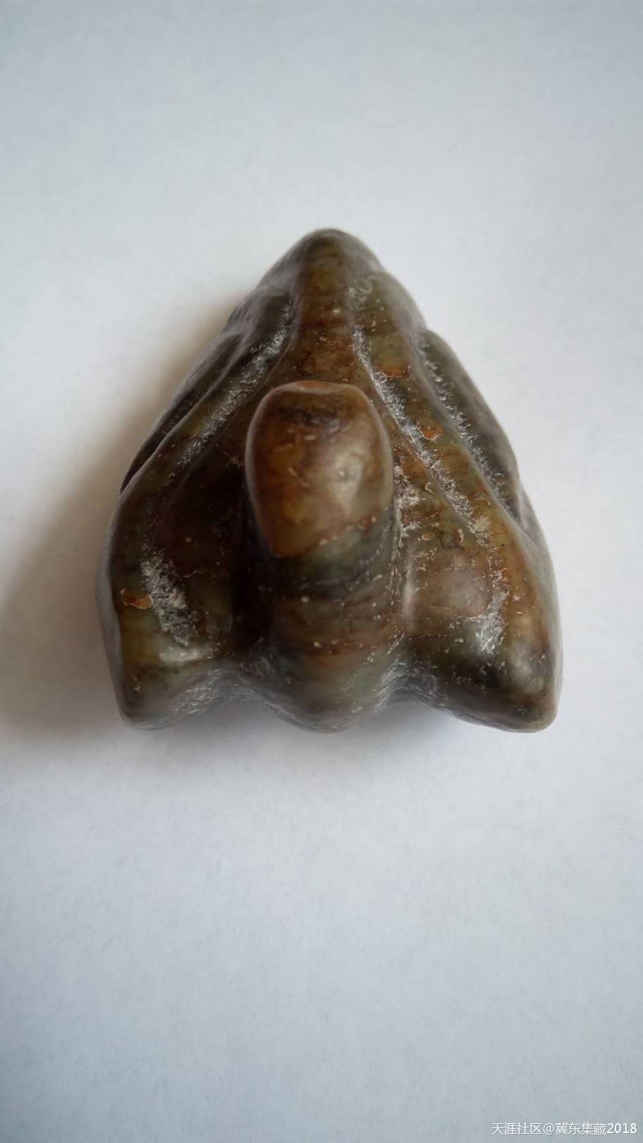 我收藏的红山玉——动物首挂饰三件-第3张图片-翡翠网 我收藏的红山玉——动物首挂饰三件-第3张图片-翡翠网