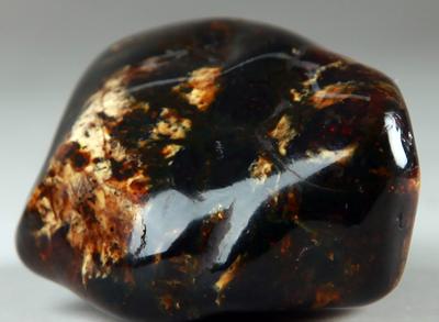 抚顺琥珀有收藏价值吗?-第1张图片-翡翠网 抚顺琥珀有收藏价值吗?-第1张图片-翡翠网