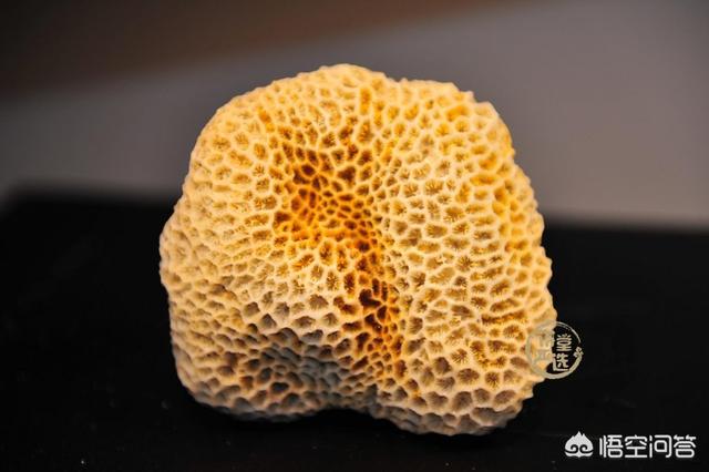 什么样的珊瑚石是最好的?-第2张图片-翡翠网 什么样的珊瑚石是最好的?-第2张图片-翡翠网