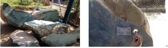 缅甸翡翠公盘6月重启  云南密玉珠宝采购团补仓(转载)-第1张图片-翡翠网