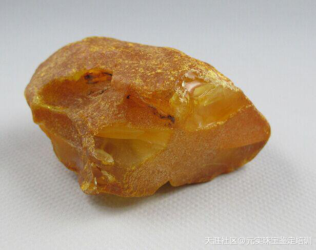揭秘琥珀的形成年代-第2张图片-翡翠网