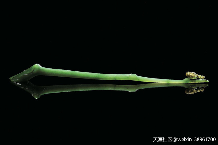 玉出云南——翡翠东方美，美在含蓄，美在温润-第8张图片-翡翠网