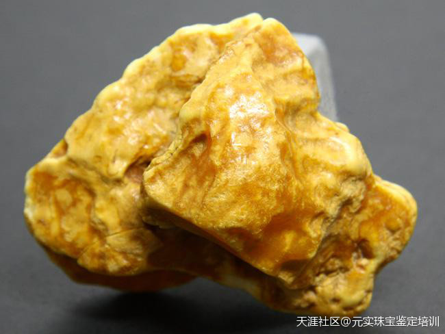 揭秘琥珀的形成年代