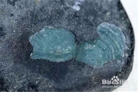 染色翡翠原石鉴别方法-第2张图片-翡翠网 染色翡翠原石鉴别方法-第2张图片-翡翠网