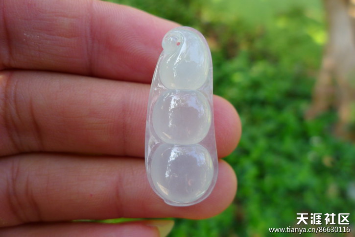 辣绿富贵牌、龙牌及鱼牌、如意，节节高、貔貅、叶子、豆-第33张图片-翡翠网