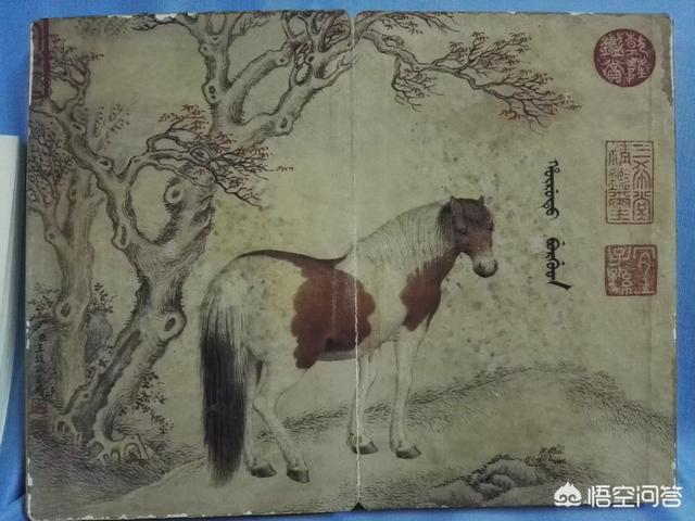 马未都和王刚谁才是文物收藏的真正大家？-第27张图片-翡翠网