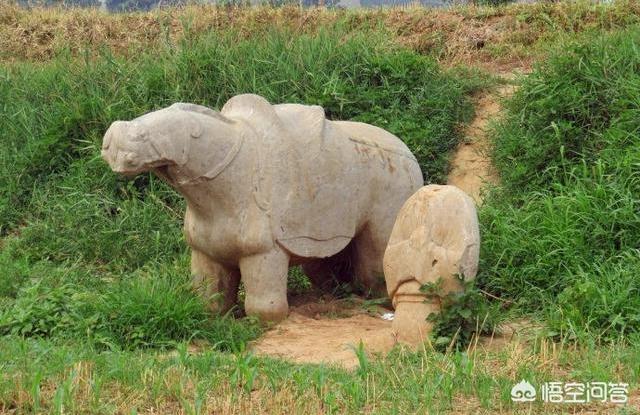 为什么有人说在中国历史上有盛世之称的李唐王朝，皇室与**无血缘关系？-第1张图片-翡翠网