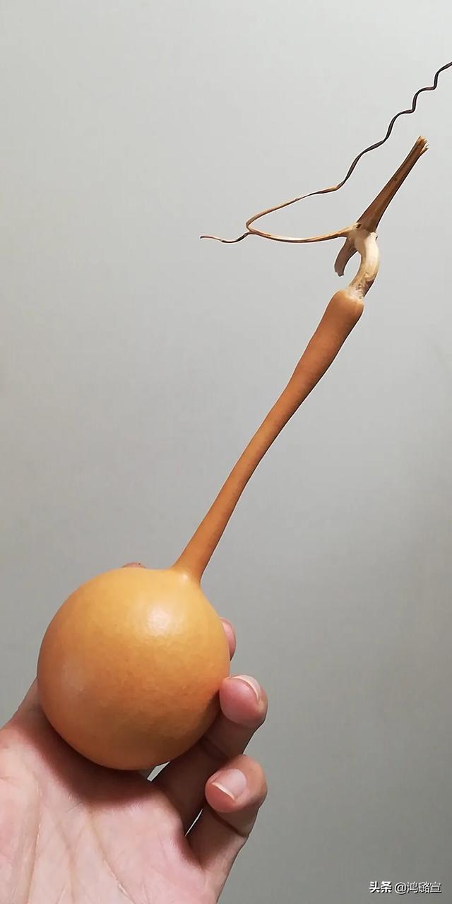 手捻葫芦盘多久能红？-第2张图片-翡翠网