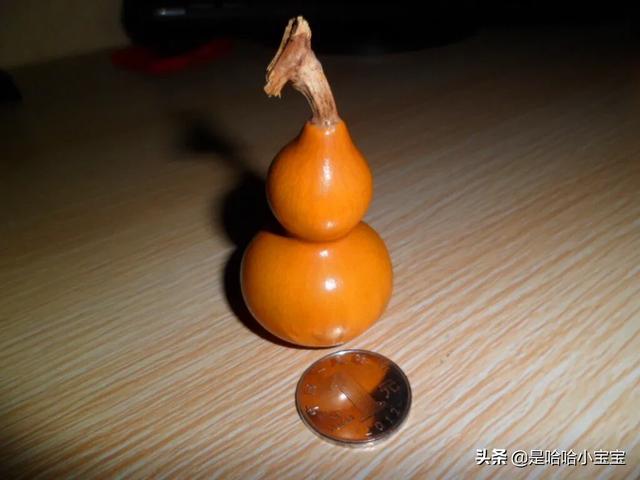 手捻葫芦怎样选?-第1张图片-翡翠网 手捻葫芦怎样选?-第1张图片-翡翠网