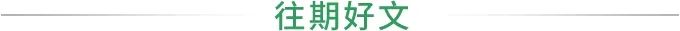 这几种翡翠寓意美好又百搭!你心动了吗?-第21张图片-翡翠网 这几种翡翠寓意美好又百搭!你心动了吗?-第21张图片-翡翠网
