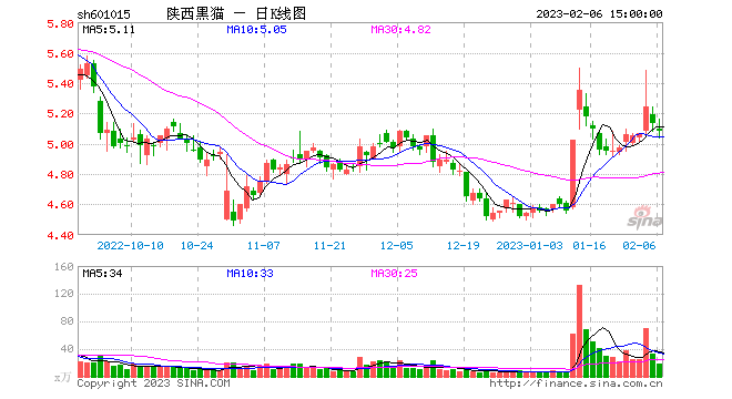 陕西黑猫,陕西黑猫是做什么的-第1张图片-翡翠网 陕西黑猫,陕西黑猫是做什么的-第1张图片-翡翠网