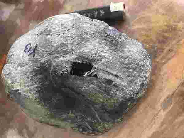 翡翠的皮壳种类和识别图片关于翡翠皮壳的知识的书-第2张图片-翡翠网