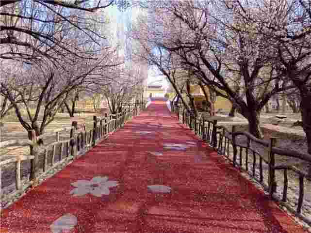 10682626抖音短视频10682626抖音短视频电脑版-第1张图片-翡翠网 10682626抖音短视频10682626抖音短视频电脑版-第1张图片-翡翠网