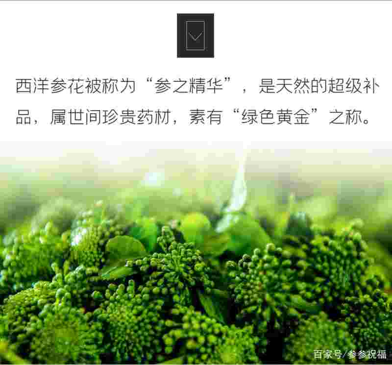 绿色黄金叶,绿色黄金-第2张图片-翡翠网