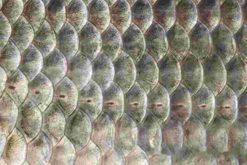 滕翡翠知识新青年海报的简单介绍-第2张图片-翡翠网 滕翡翠知识新青年海报的简单介绍-第2张图片-翡翠网