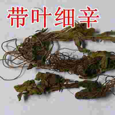 金耳环是什么中药别名呢金耳环是什么中药别名-第1张图片-翡翠网 金耳环是什么中药别名呢金耳环是什么中药别名-第1张图片-翡翠网