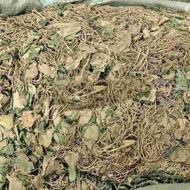 金耳环是什么中药别名呢金耳环是什么中药别名-第2张图片-翡翠网 金耳环是什么中药别名呢金耳环是什么中药别名-第2张图片-翡翠网