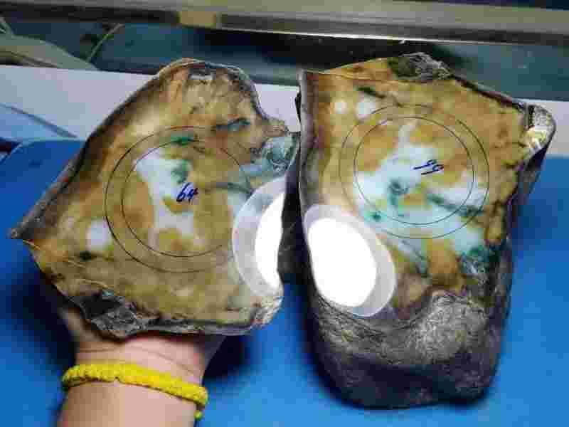 怎么选购翡翠原石_好乐美饰珠宝学院!,翡翠原石怎么选好货-第1张图片-翡翠网