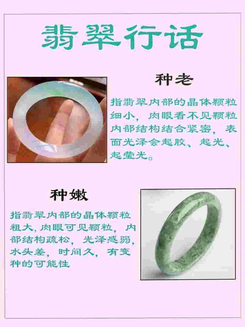 翡翠方面的基本知识有哪些翡翠方面的基本知识-第1张图片-翡翠网 翡翠方面的基本知识有哪些翡翠方面的基本知识-第1张图片-翡翠网