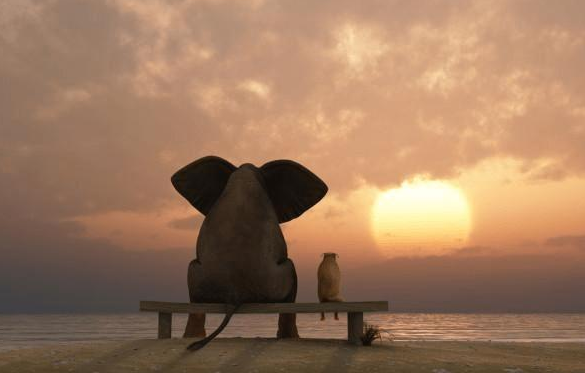 金市大鲤:金价已经破位下跌,后市还能震荡多久-第2张图片-翡翠网 金市大鲤:金价已经破位下跌,后市还能震荡多久-第2张图片-翡翠网