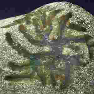 翡翠原石开窗不退不换合法吗翡翠原石开窗不退不换合法吗知乎-第1张图片-翡翠网