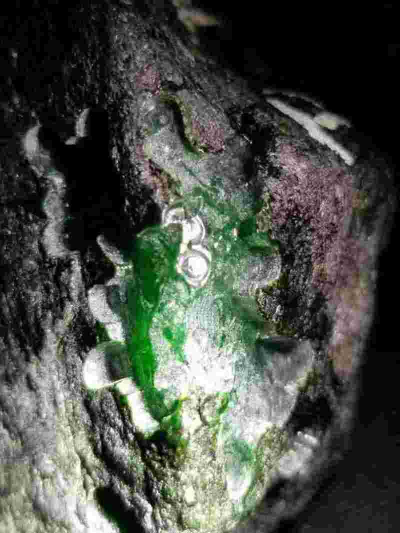 翡翠原石一般多少钱翡翠原石一般多少钱一个-第1张图片-翡翠网 翡翠原石一般多少钱翡翠原石一般多少钱一个-第1张图片-翡翠网