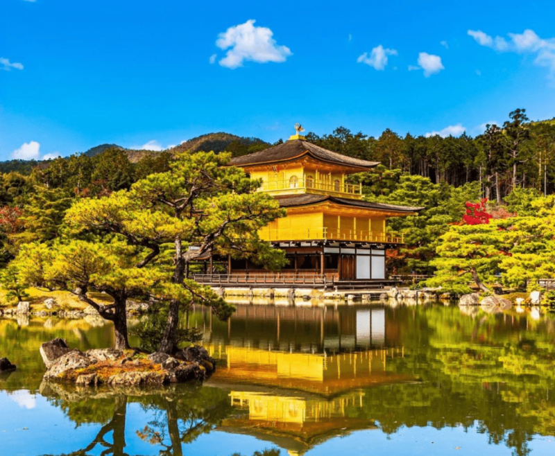 黄金屋公子用什么元素,黄金屋-第1张图片-翡翠网 黄金屋公子用什么元素,黄金屋-第1张图片-翡翠网