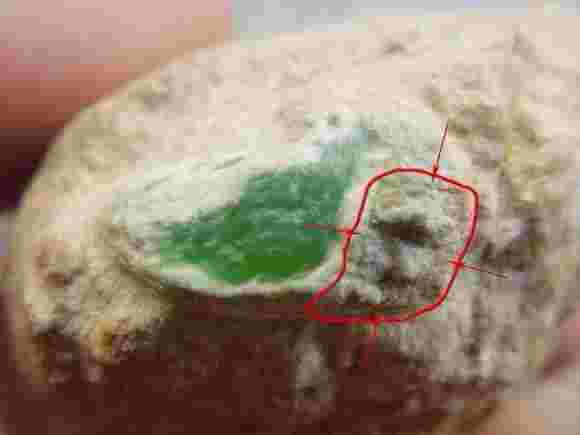 翡翠原石入门级知识大全翡翠原石入门级知识大全动画里的锤锤和蛋蛋鸡仔 萌妹-第2张图片-翡翠网 翡翠原石入门级知识大全翡翠原石入门级知识大全动画里的锤锤和蛋蛋鸡仔 萌妹-第2张图片-翡翠网