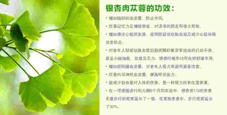 银杏叶滋养膏,银杏叶护肤的功效与作用点-第1张图片-翡翠网 银杏叶滋养膏,银杏叶护肤的功效与作用点-第1张图片-翡翠网