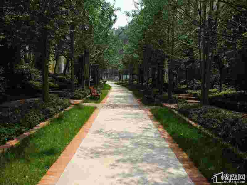 银翔翡翠谷读哪个中学,银翔翡翠谷-第1张图片-翡翠网