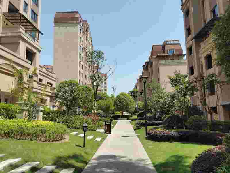 翡翠城第一季在线观看翡翠城-第1张图片-翡翠网 翡翠城第一季在线观看翡翠城-第1张图片-翡翠网