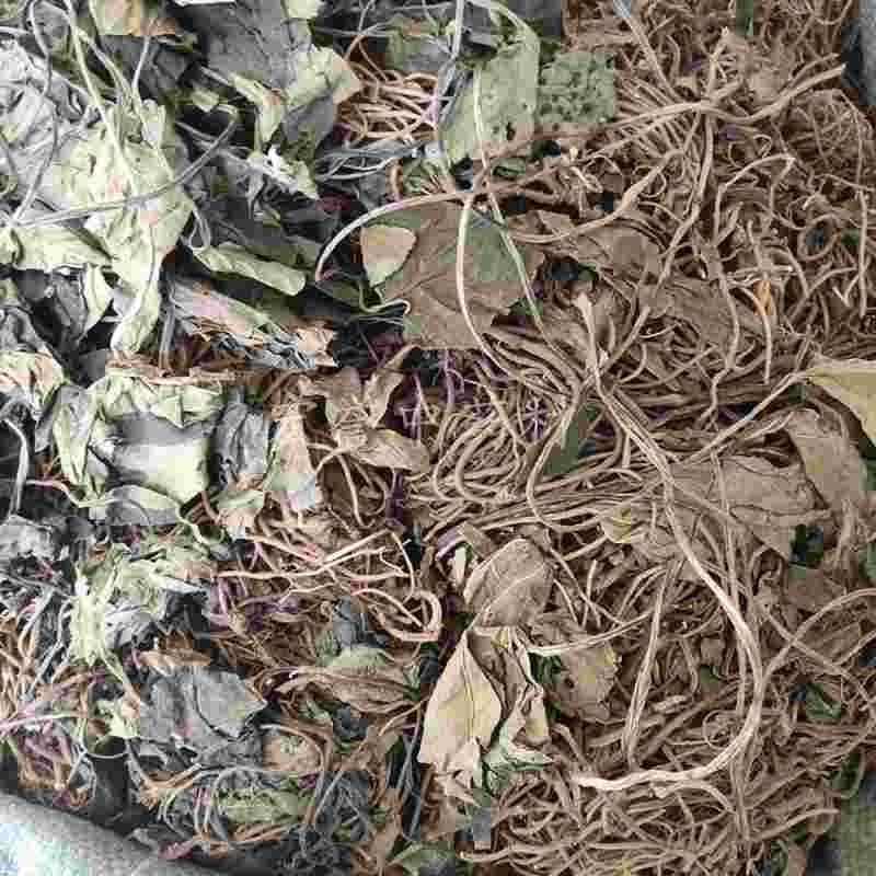 野生金耳有什么作用野生金耳环图片-第1张图片-翡翠网 野生金耳有什么作用野生金耳环图片-第1张图片-翡翠网