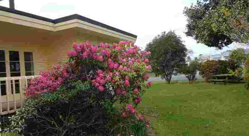 anfasicotour香水silkwhitia-第2张图片-翡翠网